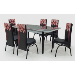 Ensemble Table + 6 Chaises