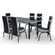 ENSEMBLE TABLE + 6 CHAISES